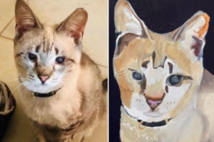 Request Quote: Turn Your Pet Into Art - Custom Pet Portraits - Nationwide