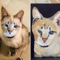 Turn Your Pet Into Art - Custom Pet Portraits - Nationwide