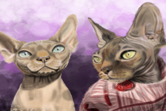 Request Quote: Kelly Haines - Digital Pet Portrait Artist - Nationwide
