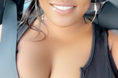 Request Quote: Carry My Pet - Flight or Carrier  - Nationwide