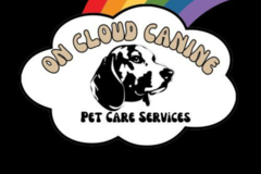 Request Quote: OnCloud Canine - Fear Free Professional  - Akron, OH