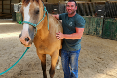 Request Quote: Board Certified Animal Chiropractor - Springdale, OH