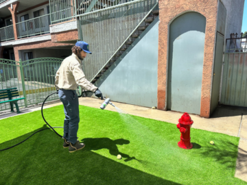 Westside Scoopers sanitizes and deodorizes spaces to make sure they're clean and safe for pets and people