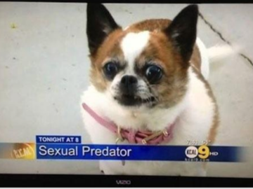 MY FAVORITE LIVE NEWS BLOOPER!