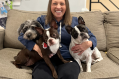 Request Quote: Virtual Pet Psychic Readings for All Animals - Nationwide