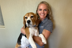 Request Quote: Chiro4Critters Animal Chiropractic Services - Incline Village, NV