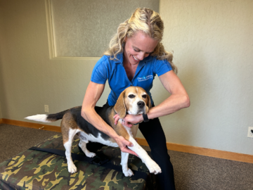 Dr. Kremer and Alfi