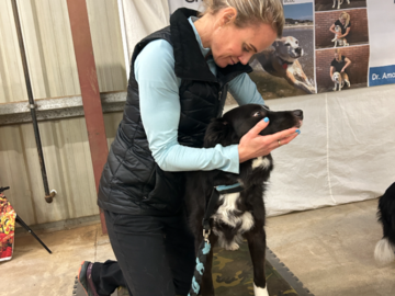 Dr. Kremer and Agility dog