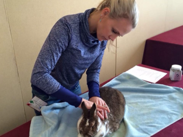 Dr. Kremer and a rabbit