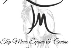 Request Quote: Top Mare Equine Massage LLC - Sioux City, IA