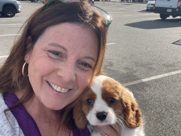 Sullivan - 9 week old King Charles Cavalier