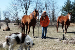 Request Quote: Remote Viewer - Depth Clairvoyance For Lost Pets - Nationwide