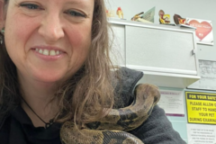 Request Quote: Distance Animal Reiki Care - Nationwide