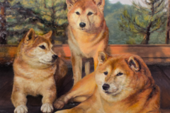 Request Quote: Custom Pet Portrait Oil Paintings  - Nationwide