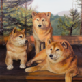 Custom Pet Portrait Oil Paintings  - Nationwide