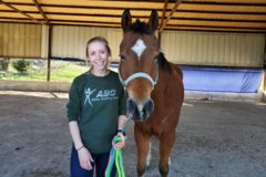 Request Quote: Haven Animal Chiropractic - Knoxville, TN