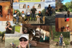 Request Quote: 12:10 Dog Training - Selma, TX