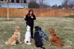 Request Quote: AwesomeDog Training - Canine Trainer - Walla Walla, WA