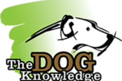 Request Quote: The Dog Knowledge - Certified Dog Trainers - Charlotte, NC