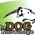 The Dog Knowledge - Charlotte, NC
