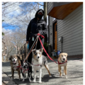 Kritter Korner - Dog Walking and Pet Sitting - Cambridge, MA