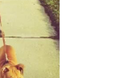 Request Quote: Gerald Lewis - Professional Pet Care Giver - Birmingham, MI