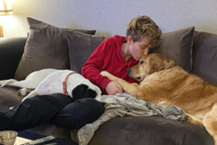 Request Quote: Pet Sitting and Dog Walking Services - Everett, WA