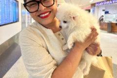 Request Quote: Professional Flight Nanny For Dogs - Nationwide