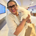 Professional Flight Nanny For Dogs - Nationwide