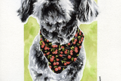 Request Quote: Pet Portrait Art - Ink and Water - Nationwide