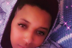 Request Quote: Moving Pets with Love, Care, and Comfort - Nationwide