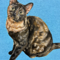 Pet Portrait Artist Specializing in Acrylic Paintings - Nationwide