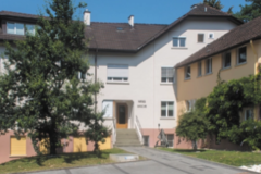 Request Quote: Dog Health Coaching - Los Alamos, NM