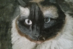 Request Quote: Custom Handmade Pet or Animal Portraits - Realistic  - Nationwide