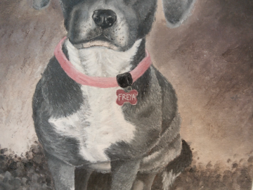 A portrait of Freya, as mized-breed dog painted in acyrlic.