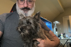 Request Quote: Your Loved Furry One As Art - Pet Portrait Artist - Nationwide