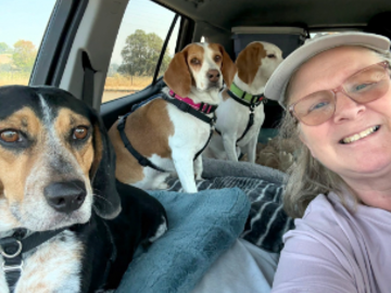 me and my beagles 