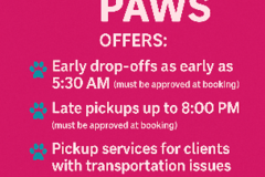 Request Quote: Happy Paws Dog Salon and Spa - Lebanon, KY