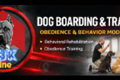 Request Quote: RBK Line Dog Boarding and Training  - Morris, IL