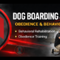 RBK Line Dog Boarding and Training  - Morris, IL