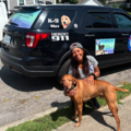Pet Patrol USA - A Pet Taxi Service - Newport, RI