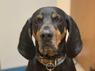 Wilson, my forever friend.