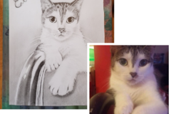 Request Quote: Custom Pet Portrait Artist - Graphite & Traditional Art - Nationwide