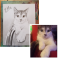 Custom Pet Portrait Artist - Graphite & Traditional Art - Nationwide