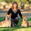 Kind Dog Training - CCPDT Certified Dog Trainer - Oceanside, CA