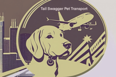 Request Quote: International and Domestic Flight Nanny - Nationwide