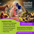 Animal Communicator and Energy Healer - Nationwide