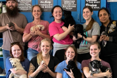 Request Quote: Kairos Chiropractic - AVCA Certified - Animal Chiropractic - Coppell, TX