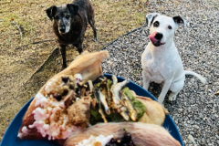 Request Quote: Holistic Canine Fresh Food Nutrition - Nationwide