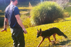Request Quote: Dog Trainer K9 Specialist  - Fredericksburg, VA